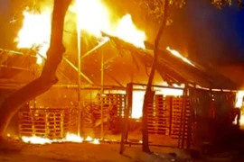 Tây Ninh: Khống chế đám cháy lớn tại cơ sở sản xuất pallet gỗ