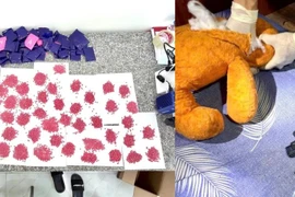 Triệt phá đường dây ma túy liên tỉnh, thu giữ hơn 9kg ma túy tổng hợp