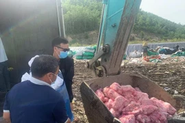 Gia Lai: Tiêu hủy hơn 1 tấn thịt heo và chả ram không rõ nguồn gốc