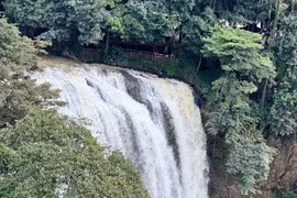 Tìm kiếm người phụ nữ nghi bị cuốn trôi ở khu vực thác Voi tỉnh Lâm Đồng