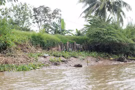 Bến Tre: Mời thầu gói thi công Sửa chữa nâng cấp bờ bao Thành Long