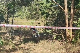 Lâm Đồng: Phát hiện người đàn ông tử vong trong rừng ở phường Tiến Thành