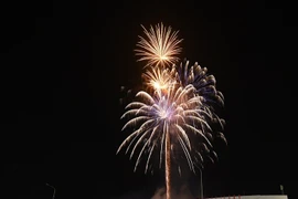 Đêm giao thừa và khoảnh khắc pháo hoa rực sáng trên vùng trời cực Nam Tổ quốc