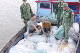 Vĩnh Long: Thu giữ hơn 5 tấn sản phẩm nghi từ động vật hoang dã trên biển