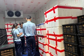 Phát hiện kho lạnh chứa 2,5 tấn trái cây không rõ xuất xứ ở Gia Lai