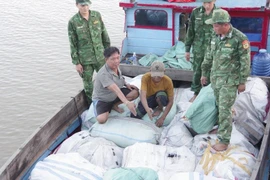 Vĩnh Long: Thu giữ hơn 5 tấn sản phẩm nghi từ động vật hoang dã trên biển