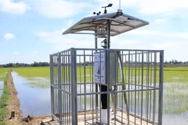 Gói thầu hơn 4 tỷ tại Ban CSAT Trà Vinh về tay ai?