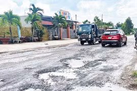 Lợi thế về giá, Đại Đông Hải có thắng gói thầu hơn 32 tỷ?