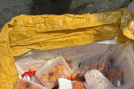 Hơn 30,5 tấn thực phẩm không rõ nguồn gốc bị tạm giữ và tiêu hủy tại TP HCM