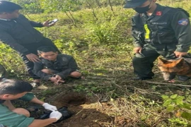 Triệt phá đường dây buôn bán ma túy tại Đồng Nai