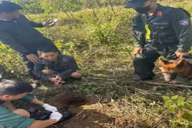 Triệt phá đường dây buôn bán ma túy tại Đồng Nai