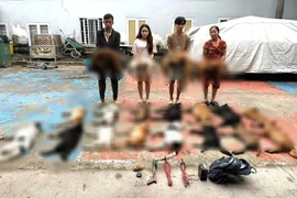 TP HCM: Phát hiện nhóm trộm và tiêu thụ hơn 2 tạ chó