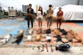 TP HCM: Phát hiện nhóm trộm và tiêu thụ hơn 2 tạ chó