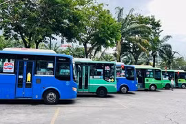 TPHCM thí điểm không in vé giấy trên 16 tuyến xe buýt