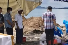 Đà Nẵng: Xe ben rơi xuống biển ở Cảng Tiên Sa, tài xế không qua khỏi