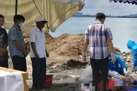 Đà Nẵng: Xe ben rơi xuống biển ở Cảng Tiên Sa, tài xế không qua khỏi