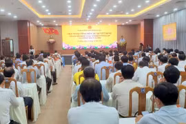 Cà Mau sắp xếp hàng loạt đơn vị sự nghiệp công lập, tinh gọn bộ máy