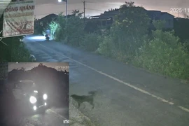 Camera ghi lại vụ dùng ô tô tiếp cận, đưa chó lên xe tại Tây Ninh