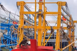 Va chạm trên biển Khánh Hòa: Tàu cá chìm, thuyền trưởng mất tích