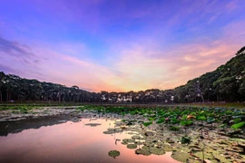 Du xuân Trà Vinh: Trải nghiệm nét văn hóa độc đáo và bình yên ngày Tết