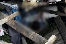 Sạt lở núi tại Đà Nẵng, người đàn ông tử nạn khi ở lại lán trại trông gia súc