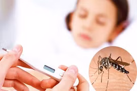 TP.HCM gấp rút phòng chống sốt xuất huyết, cảnh báo thêm bệnh Chikungunya