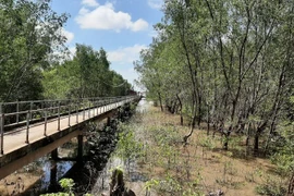 Cần Thơ phê duyệt dự án hơn 16 tỷ đồng giảm thiểu biến đổi khí hậu