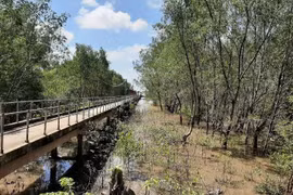 Cần Thơ phê duyệt dự án hơn 16 tỷ đồng giảm thiểu biến đổi khí hậu