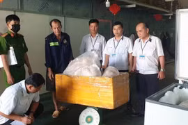 TP HCM: Phát hiện kho chứa khoảng 2 tấn thịt heo không bảo đảm vệ sinh