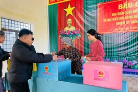 Gia Lai công bố kết quả bầu cử đại biểu HĐND tỉnh nhiệm kỳ 2026-2031