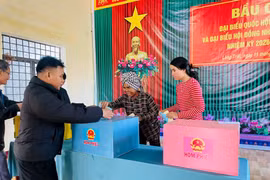 Gia Lai công bố kết quả bầu cử đại biểu HĐND tỉnh nhiệm kỳ 2026-2031