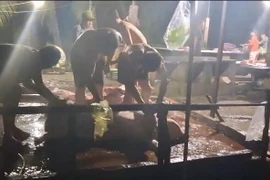 Đồng Tháp: Phát hiện 2 cơ sở giết mổ động vật không phép tại phường Trung An