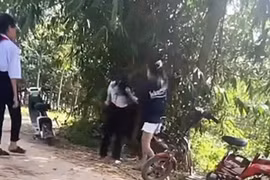 Xử phạt hai học sinh lớp 9 liên quan vụ việc xô xát với nữ sinh lớp 7
