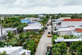 Cà Mau: Chi hơn 1.800 tỷ đồng xây tuyến đường dài 42km kết nối U Minh 