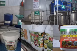 Cần Thơ: Triệt phá đường dây sản xuất phân bón giả quy mô lớn