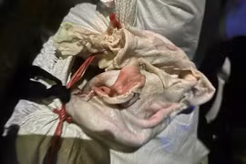 CSGT Đồng Nai bắt giữ xe tải chở hơn 2 tấn da heo thối