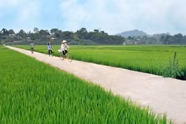 Trà Vinh: Cty Lương Hòa trúng gói thầu sửa đường phục vụ đất trồng lúa 