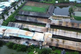 Tây Ninh: Sẽ chấm dứt hoạt động trại gà gây ô nhiễm trước tháng 5/2026