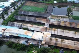 Tây Ninh: Sẽ chấm dứt hoạt động trại gà gây ô nhiễm trước tháng 5/2026