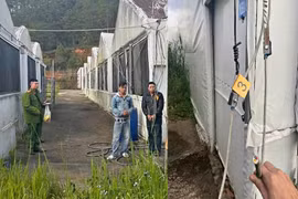 Hai nghi phạm vận chuyển dây điện trộm cắp bị Công an xã Lạc Dương bắt giữ