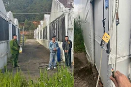 Hai nghi phạm vận chuyển dây điện trộm cắp bị Công an xã Lạc Dương bắt giữ