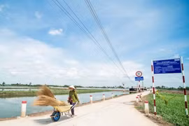 Liên danh Quốc Dũng – Phạm Hoàng trúng thầu hơn 13,6 tỷ tại Ban CSAT Bến Tre 