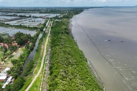 An Giang dự kiến xây đường ven biển gần 70km kết nối Cà Mau