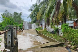 Vĩnh Long khẩn trương triển khai giải pháp chống sạt lở bờ sông Giao Long