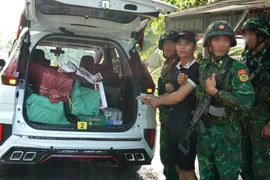 Biên phòng Tây Ninh bắt quả tang vụ vận chuyển thuốc lá ngoại nhập lậu