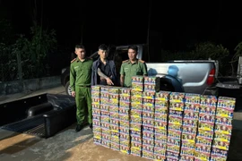 Tạm giữ hình sự đối tượng vận chuyển hơn 190 kg pháo