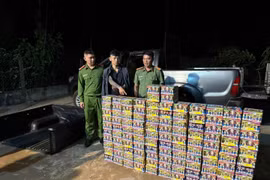 Tạm giữ hình sự đối tượng vận chuyển hơn 190 kg pháo