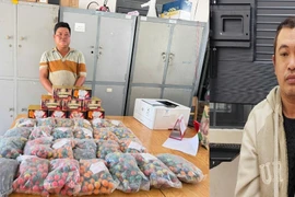 Đồng Nai bắt giữ 3 đối tượng liên quan hành vi tàng trữ, buôn bán pháo