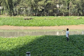 TP HCM: Xác minh danh tính nam giới tử vong tại rạch Cả Cấm