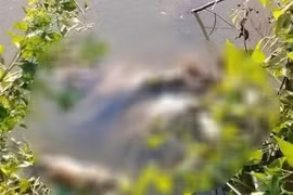 Bắt khẩn cấp nghi phạm 16 tuổi liên quan vụ bé gái 13 tuổi tử vong ở Cà Mau